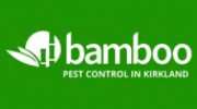 Kirkland Pest Control by Bamboo