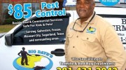 Big Daves Pest Control & Termite Solutions