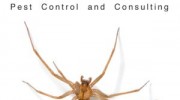 Brown Recluse Spider Control